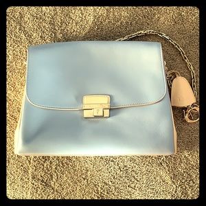 Dior purse with clean cover bag
